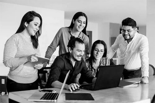 Software sistema web