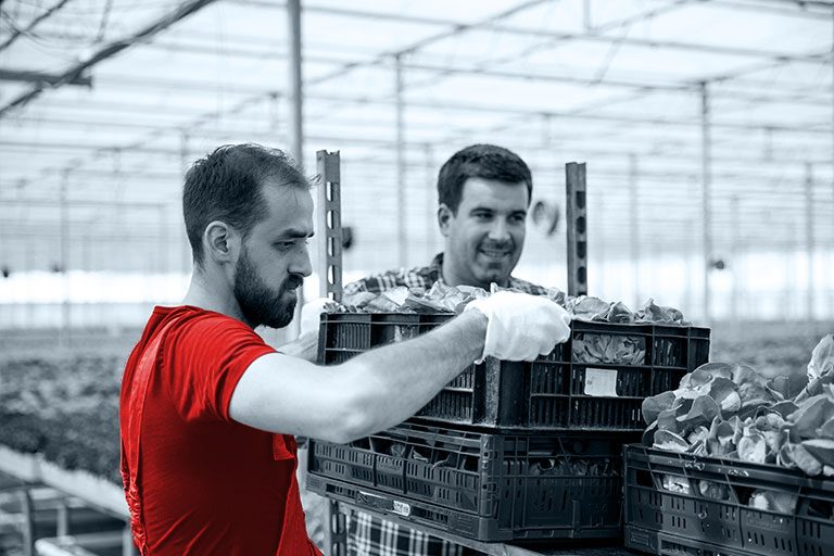 Heinsohn Ecuador - home