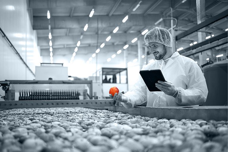 Heinsohn Ecuador - home