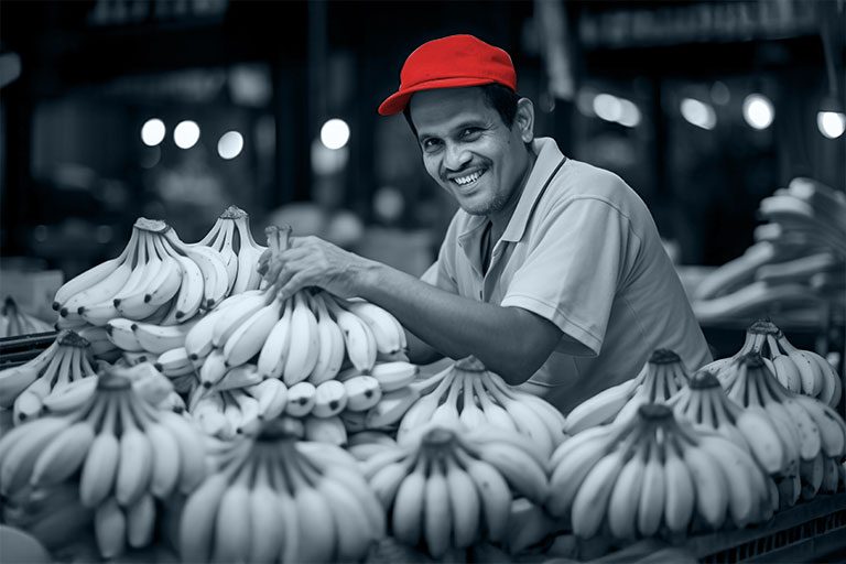 Heinsohn Ecuador - home