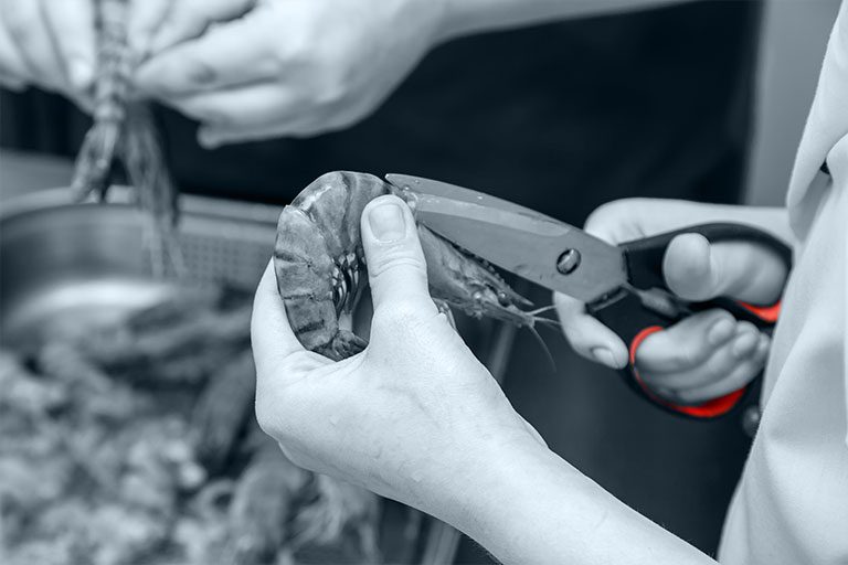 Heinsohn Ecuador - home